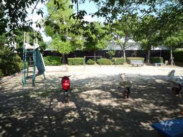 敷地南側の公園。緑豊かで遊具も設置されています。