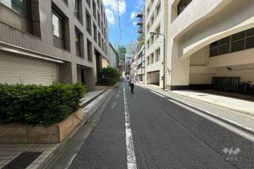 敷地の南側前面道路（東側から）