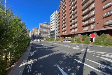 敷地の西側前面道路は目白通りです（南側から）。