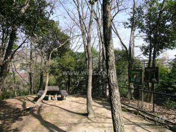 敷地と隣接する保護樹林