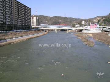 すぐ東側には武庫川が流れています。