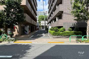 敷地の西側前面道路（南側から）