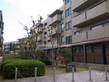 敷地内は植栽が豊かです。