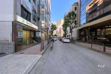 敷地北側の前面道路（西側から）