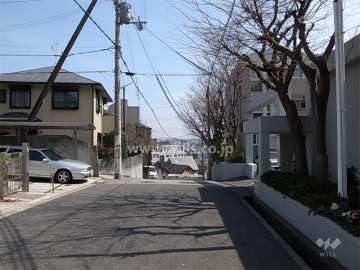 敷地北側の前面道路。周辺は高台の閑静な住宅地です。