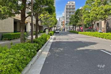 敷地の東側前面道路（南側から）