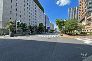 敷地西側の前面道路（南側から）