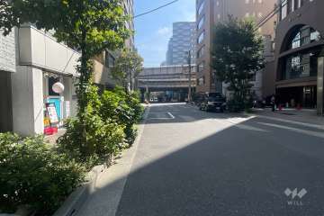 敷地の南側前面道路（西側から）