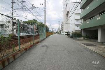 敷地北側の前面道路（西側から）