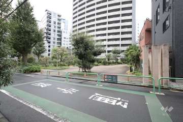 敷地東側の前面道路　