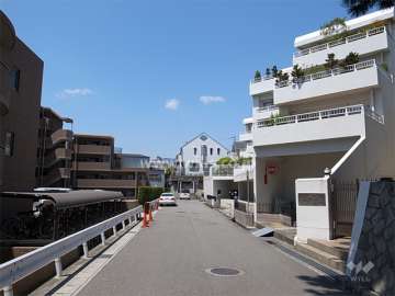 敷地南側の前面道路。地勢は南ひな壇になっています。