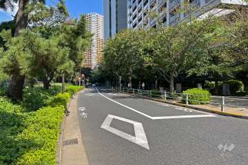 敷地の北西側前面道路は法大通りです（南西側から）。