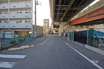 敷地西側の前面道路（北側から）