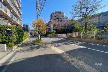 敷地南側の前面道路（西側から）