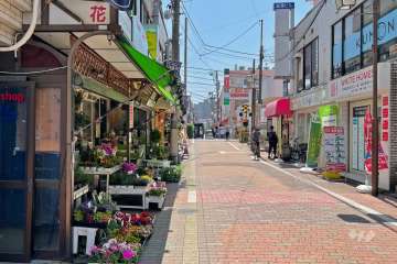 敷地北西側の前面道路（北東側から）