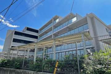 ワザック大田鵜の木