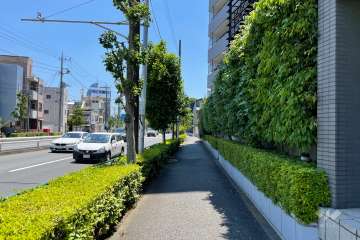 敷地の東側前面道路（北側から）