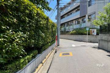 敷地の西側前面道路（北側から）