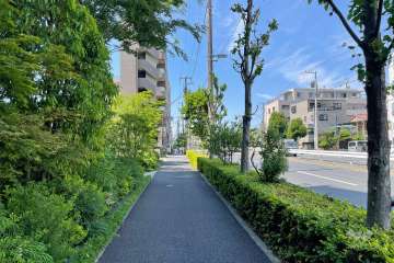 敷地東側の前面道路