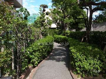 両脇が植栽スペースに囲まれたエントランス前の通路