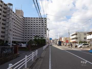 敷地北側の前面道路（「旧国道」）