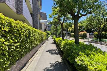 敷地南西側の前面道路（北西側から）