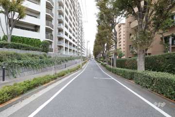 敷地南東側の前面道路（南西側から）