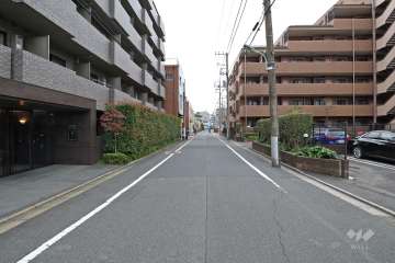 敷地北東側の前面道路（北西側から）