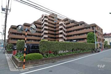 ダイアパレスラシューレ下丸子の外観（北側から）