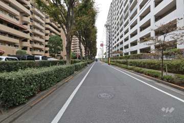 敷地北西側の前面道路（北東側から）