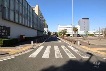 敷地北東側の前面道路(南東側から)