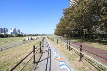敷地西側の前面道路（南側から）