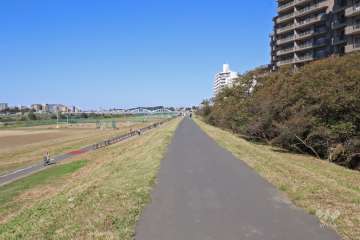 敷地西側は多摩川に面しています。