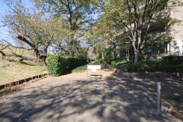 敷地西側の前面道路（南側から）