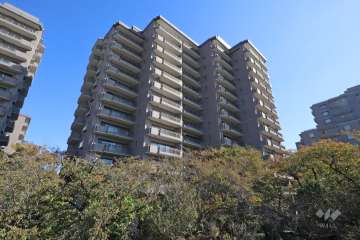 パークハウス多摩川北参番館の外観（北西側から）