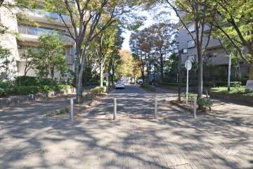 敷地南側の前面道路（西側から）