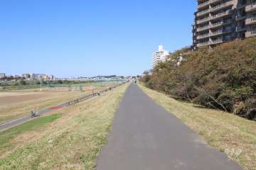 敷地西側の前面道路（南側から）