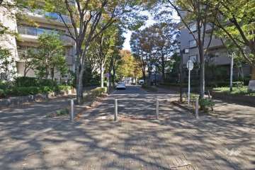 敷地南側の前面道路（西側から）