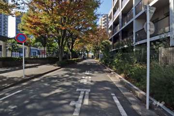 敷地北側前面道路(西側から)