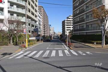 敷地北西側の前面道路（西側から）