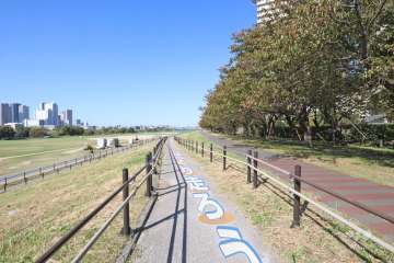 敷地南西側の前面道路（南東側から）