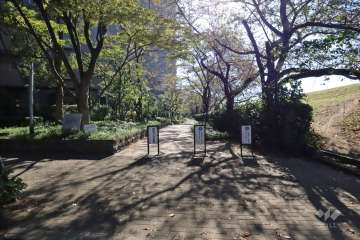 敷地西側の遊歩道