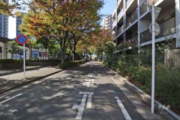 敷地北側の前面道路(東側から)
