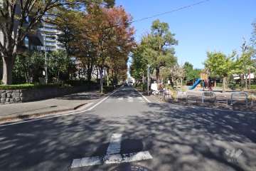 敷地東側の前面道路(南側から）