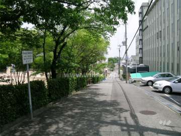 敷地の北側には高塚公園があります。