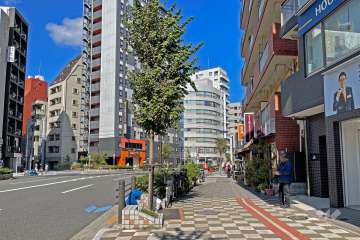 敷地の西側前面道路（南西から）