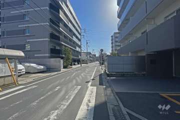 敷地北側の前面道路（西側から）