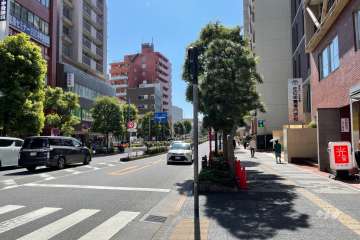 敷地東側の前面道路（北側から）