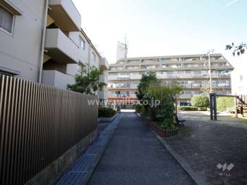 敷地北側の通路