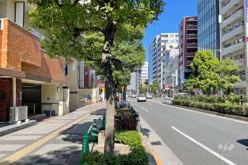 敷地東側の前面道路　